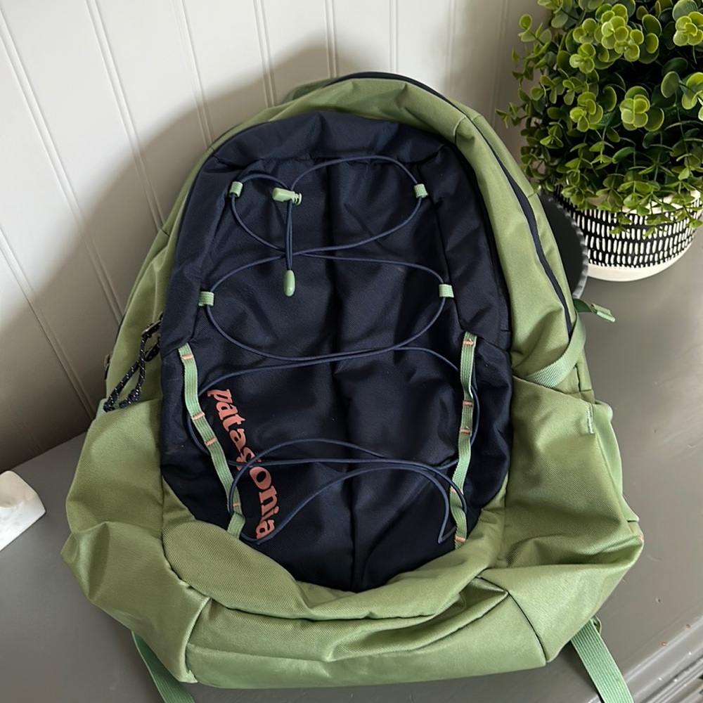 Patagonia Backpack